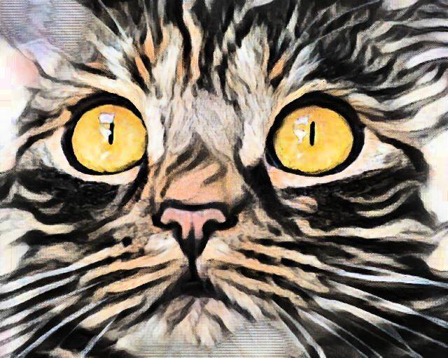 Rüyada Kedi Görmek